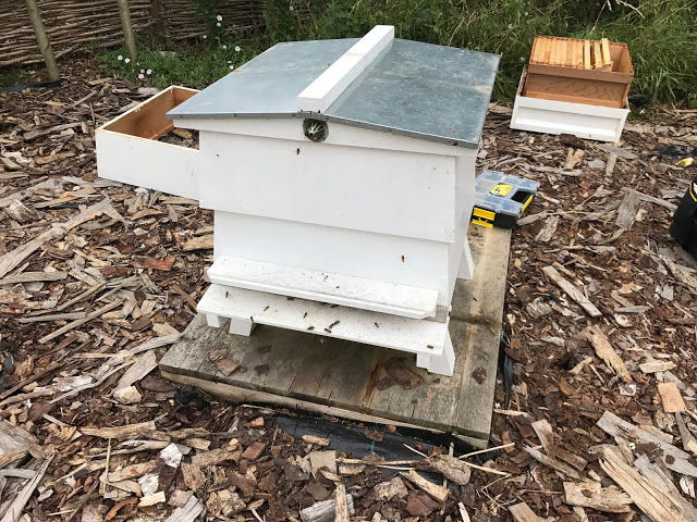 WBC hive 2 looking a little sorry for itself