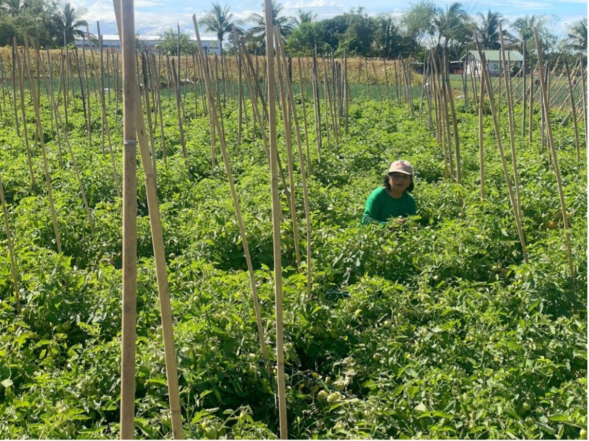 Raniel’s 65-year-old mother on their family farm Raniel’s 65-year-old mother on their family farm